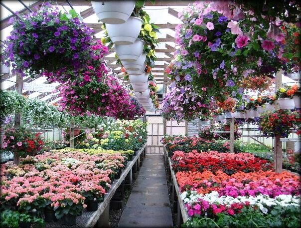 Claussens Greenhouse